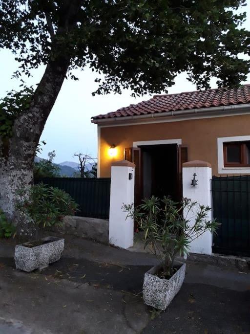 Petit Coin De Paradis Evisa Exterior photo